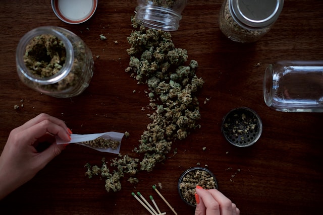 cbd olie